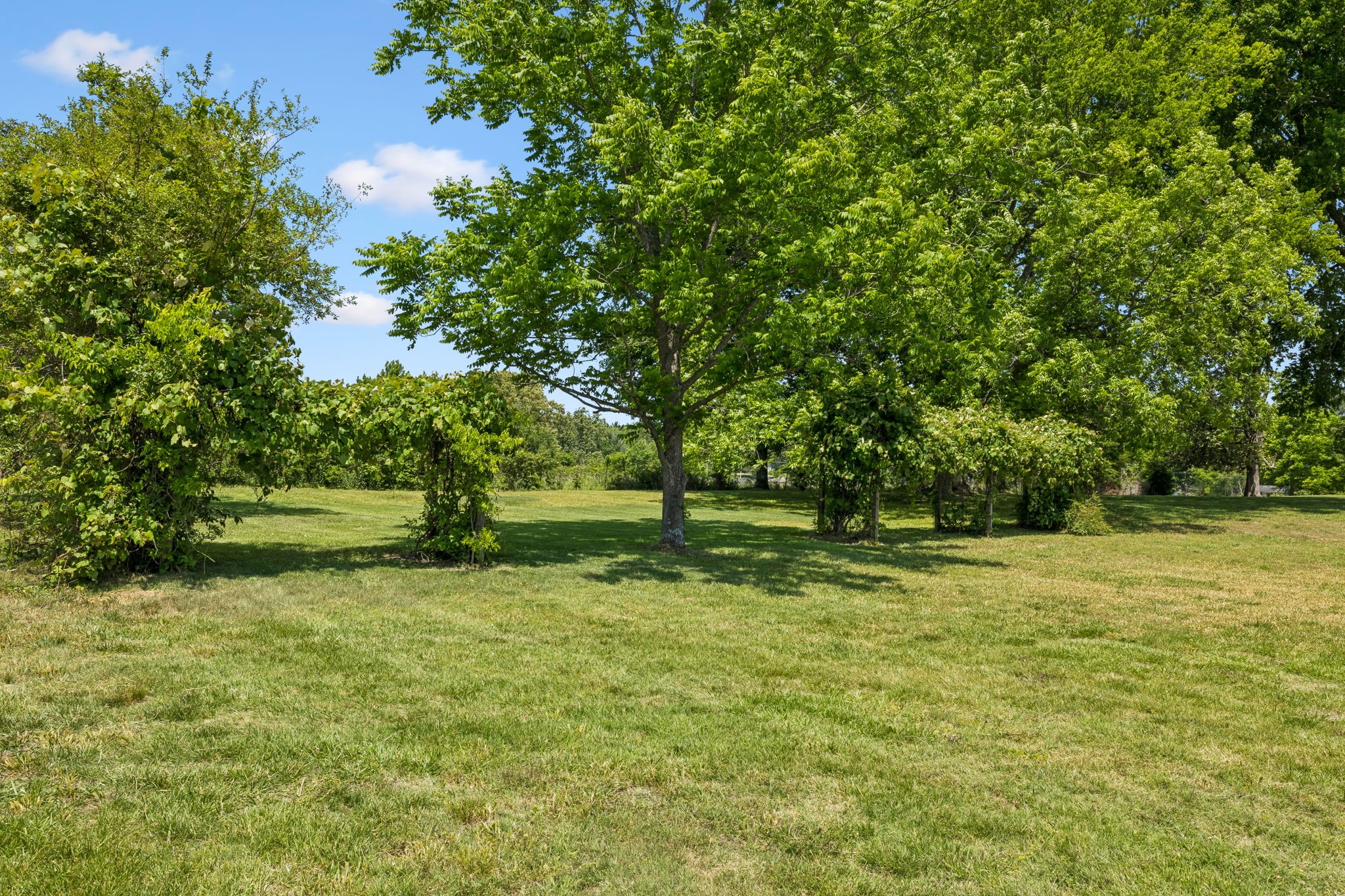 2586 Highway 48 Clarksville TN 37040