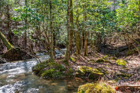 253 Daus Mountain Road Palmer TN 37365