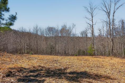 253 Daus Mountain Road Palmer TN 37365