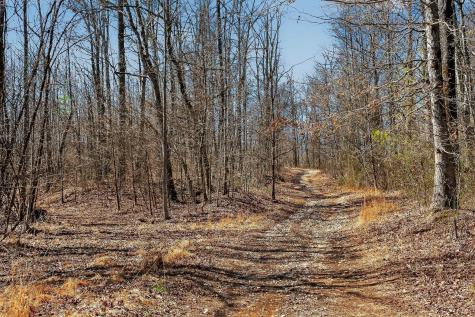 253 Daus Mountain Road Palmer TN 37365