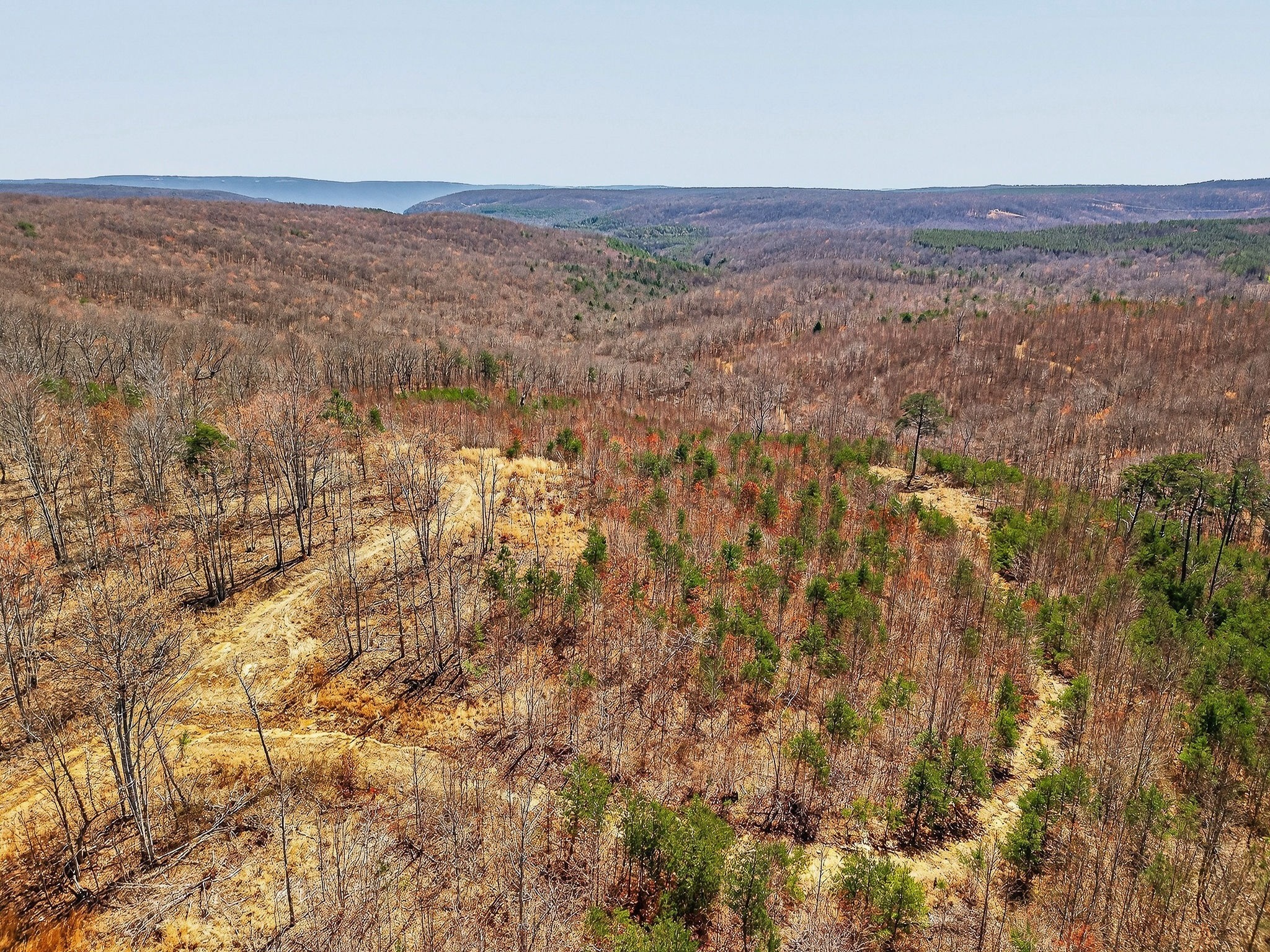 253 Daus Mountain Road Palmer TN 37365