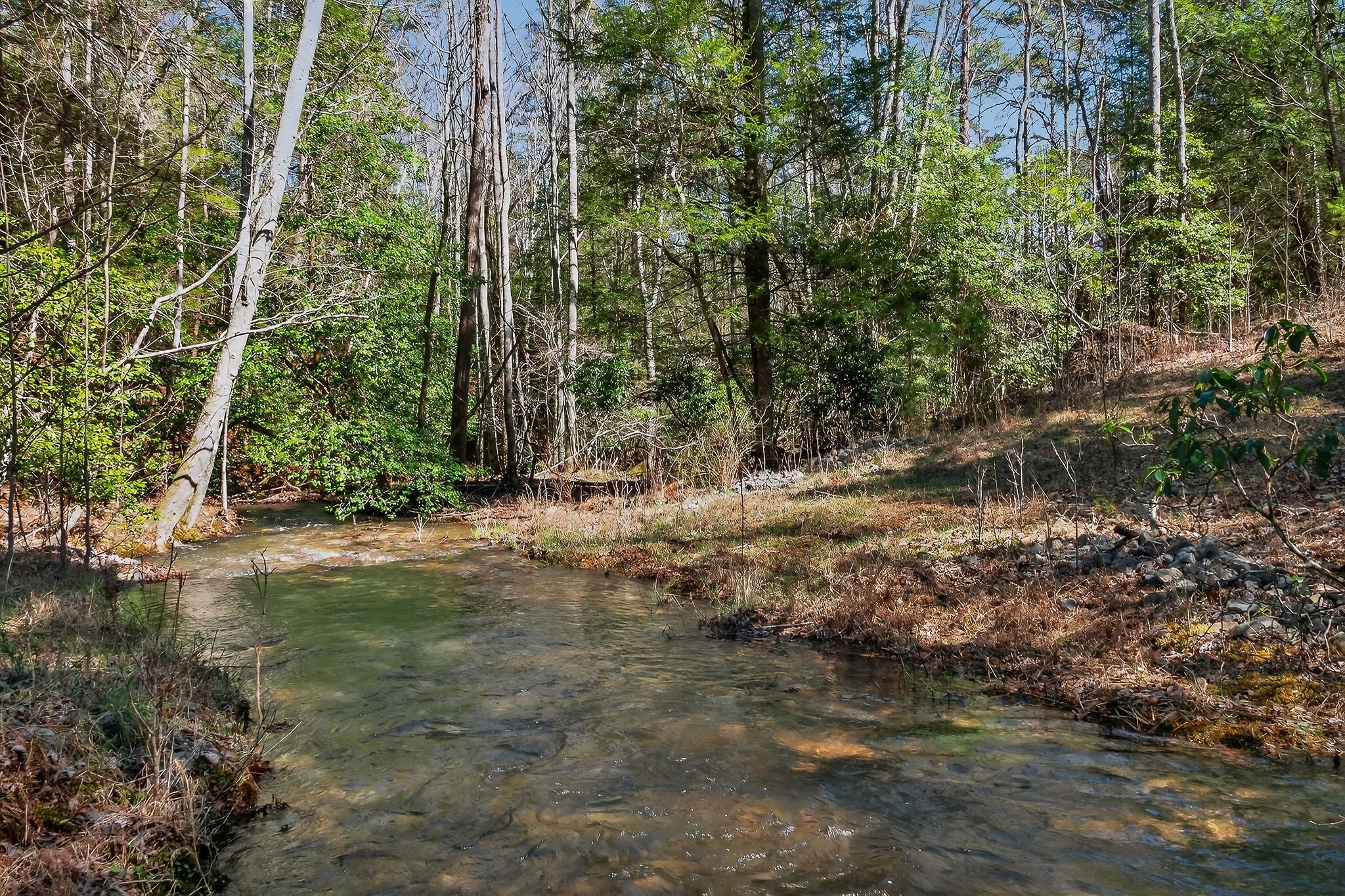 253 Daus Mountain Road Palmer TN 37365