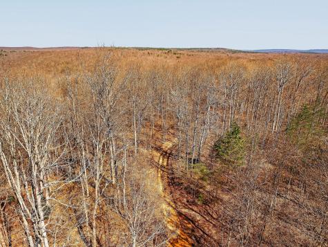 253 Daus Mountain Road Palmer TN 37365
