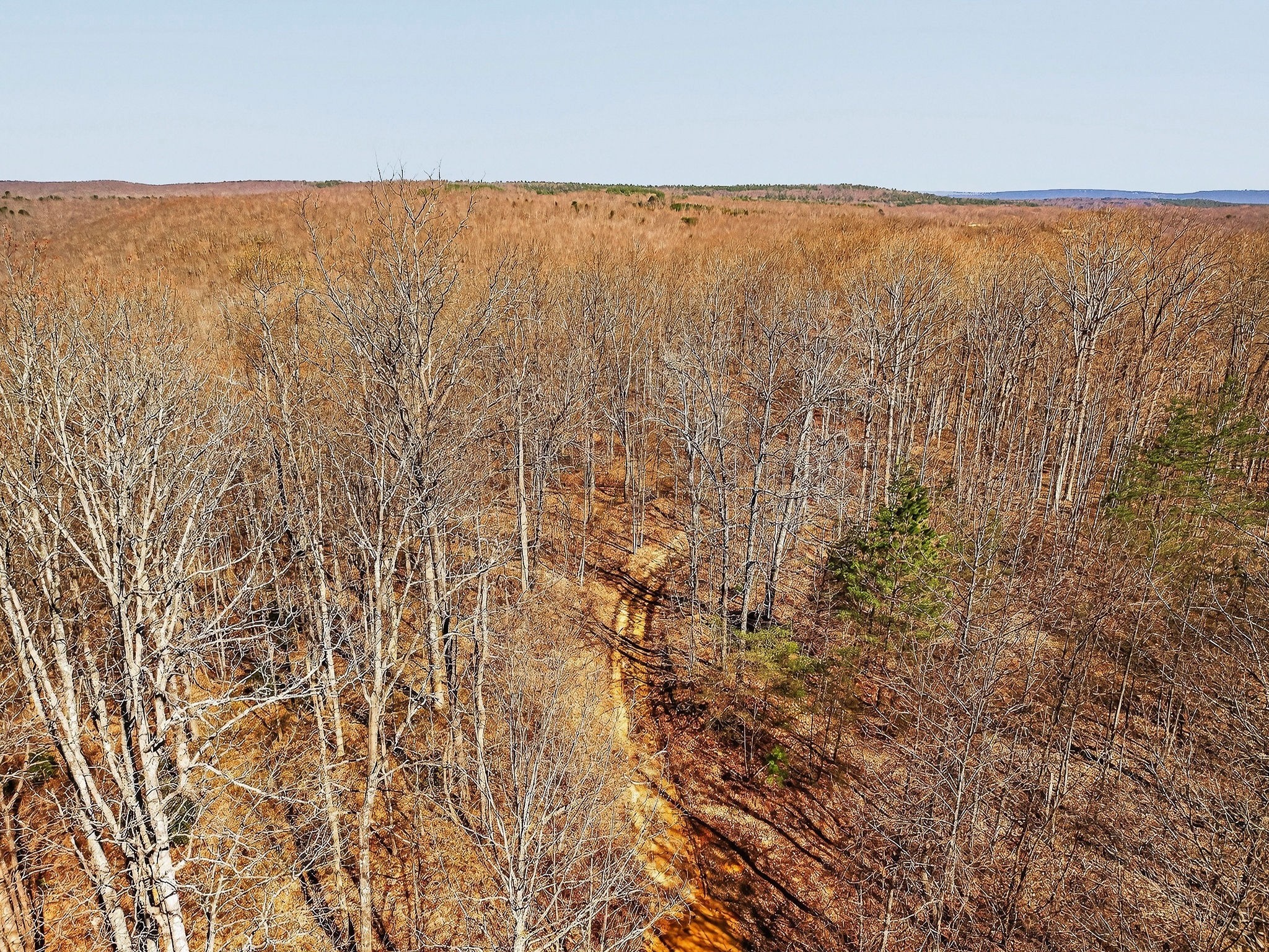 253 Daus Mountain Road Palmer TN 37365