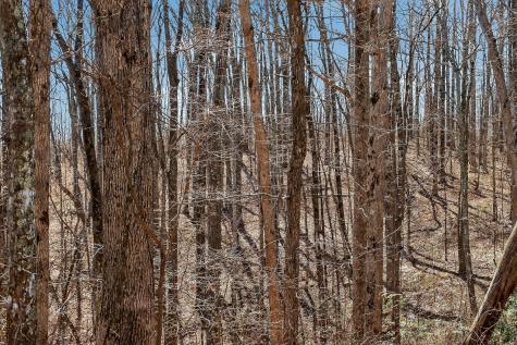 253 Daus Mountain Road Palmer TN 37365