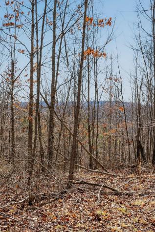 253 Daus Mountain Road Palmer TN 37365
