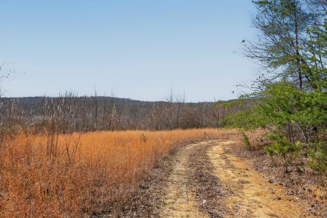 253 Daus Mountain Road Palmer TN 37365