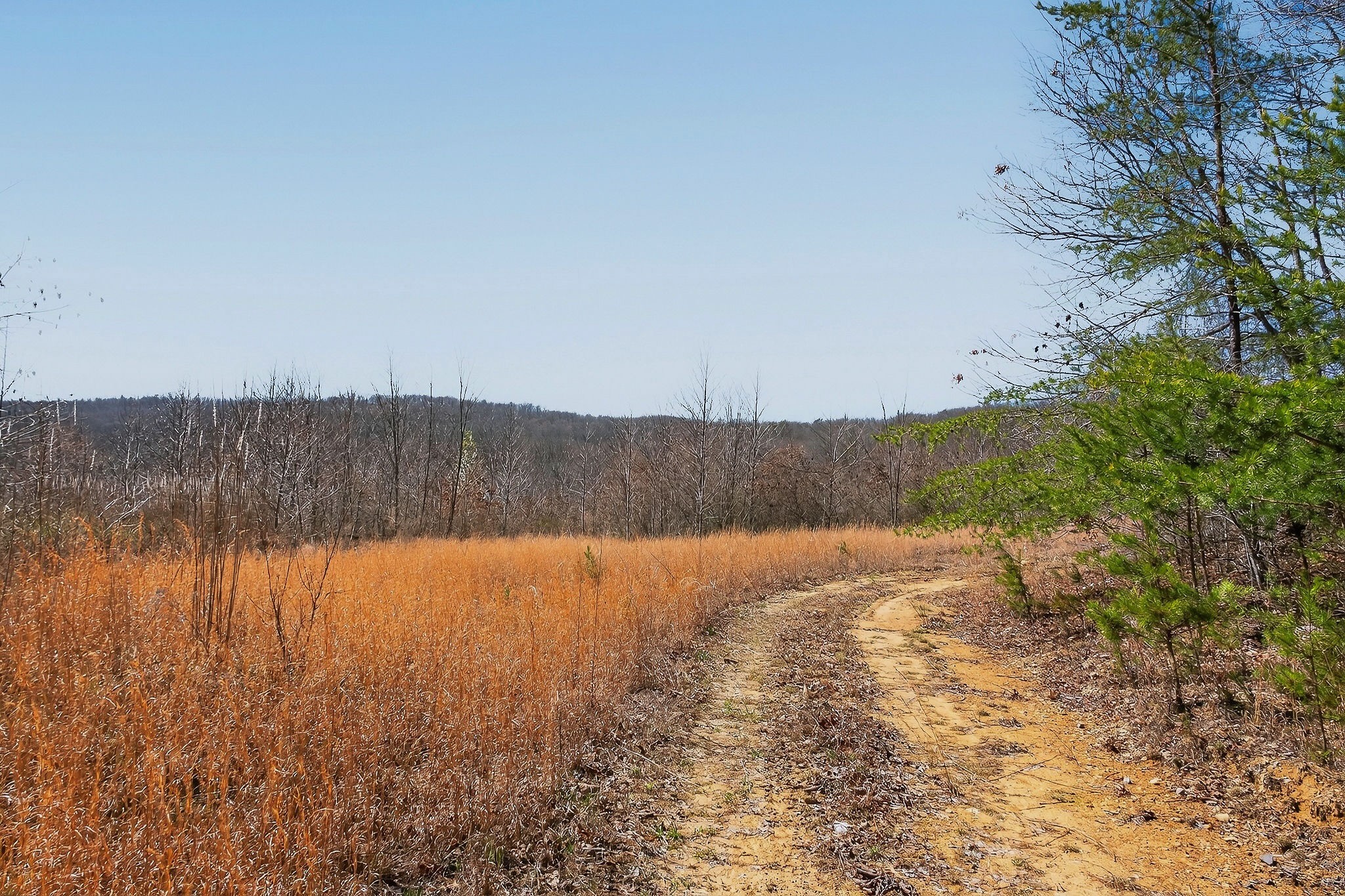 253 Daus Mountain Road Palmer TN 37365
