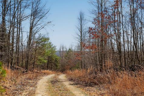 253 Daus Mountain Road Palmer TN 37365