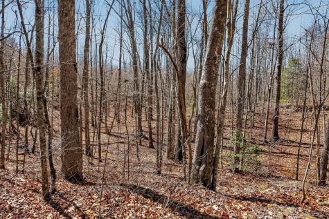 253 Daus Mountain Road Palmer TN 37365