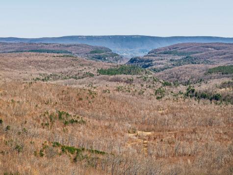 253 Daus Mountain Road Palmer TN 37365