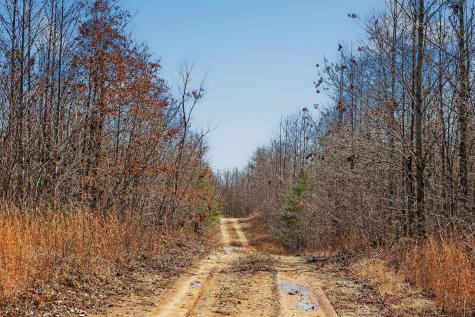 253 Daus Mountain Road Palmer TN 37365