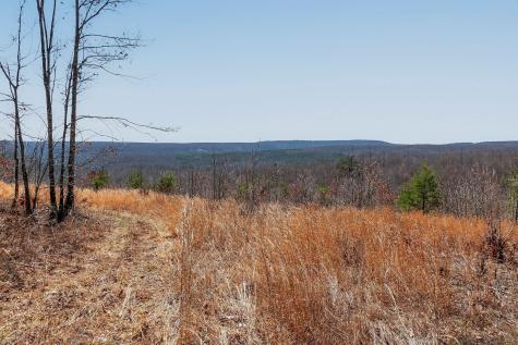253 Daus Mountain Road Palmer TN 37365