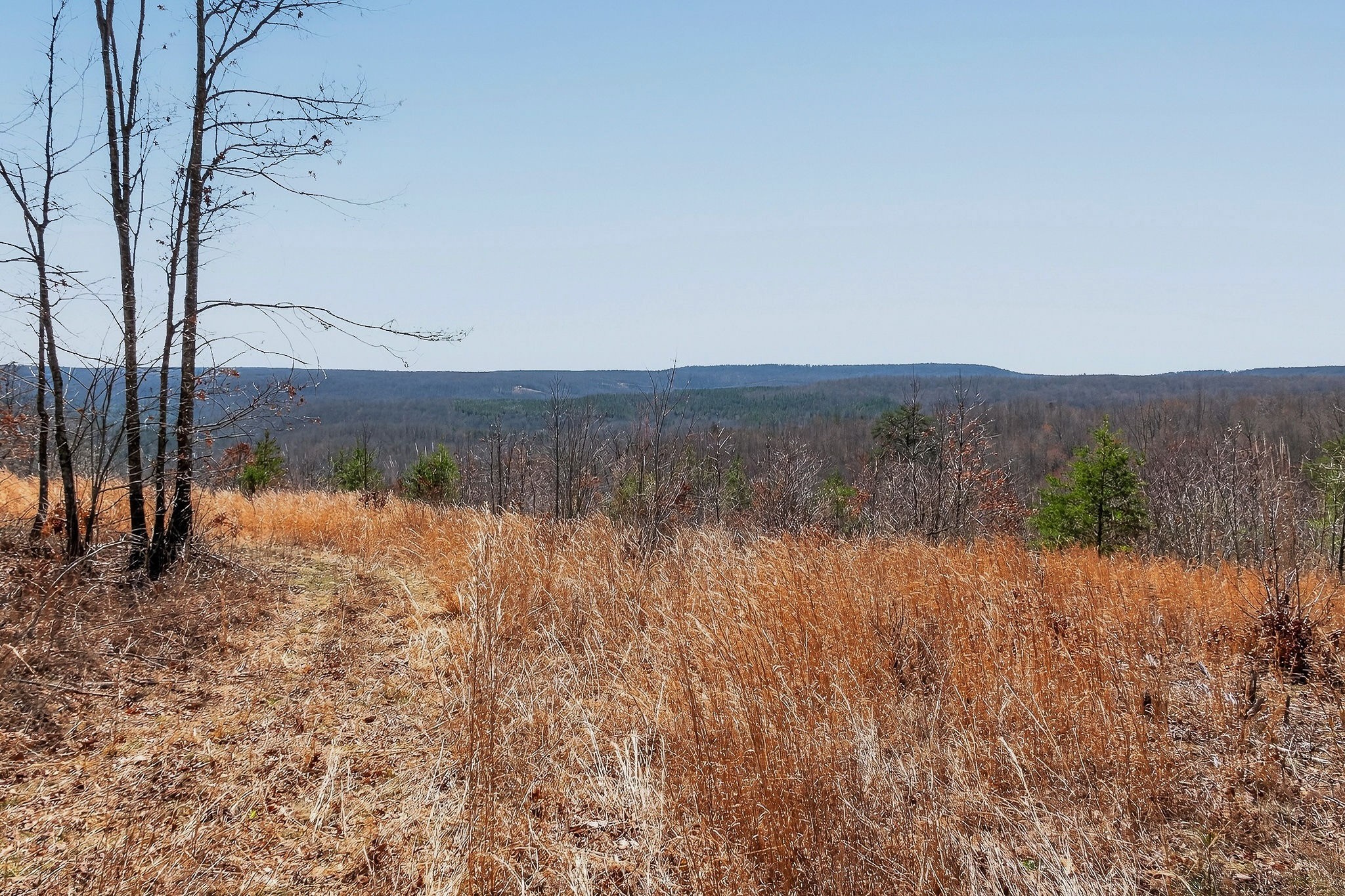 253 Daus Mountain Road Palmer TN 37365