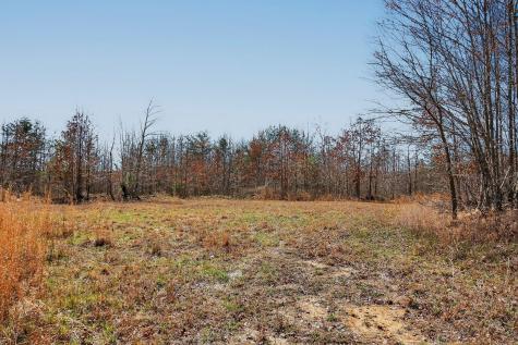 253 Daus Mountain Road Palmer TN 37365
