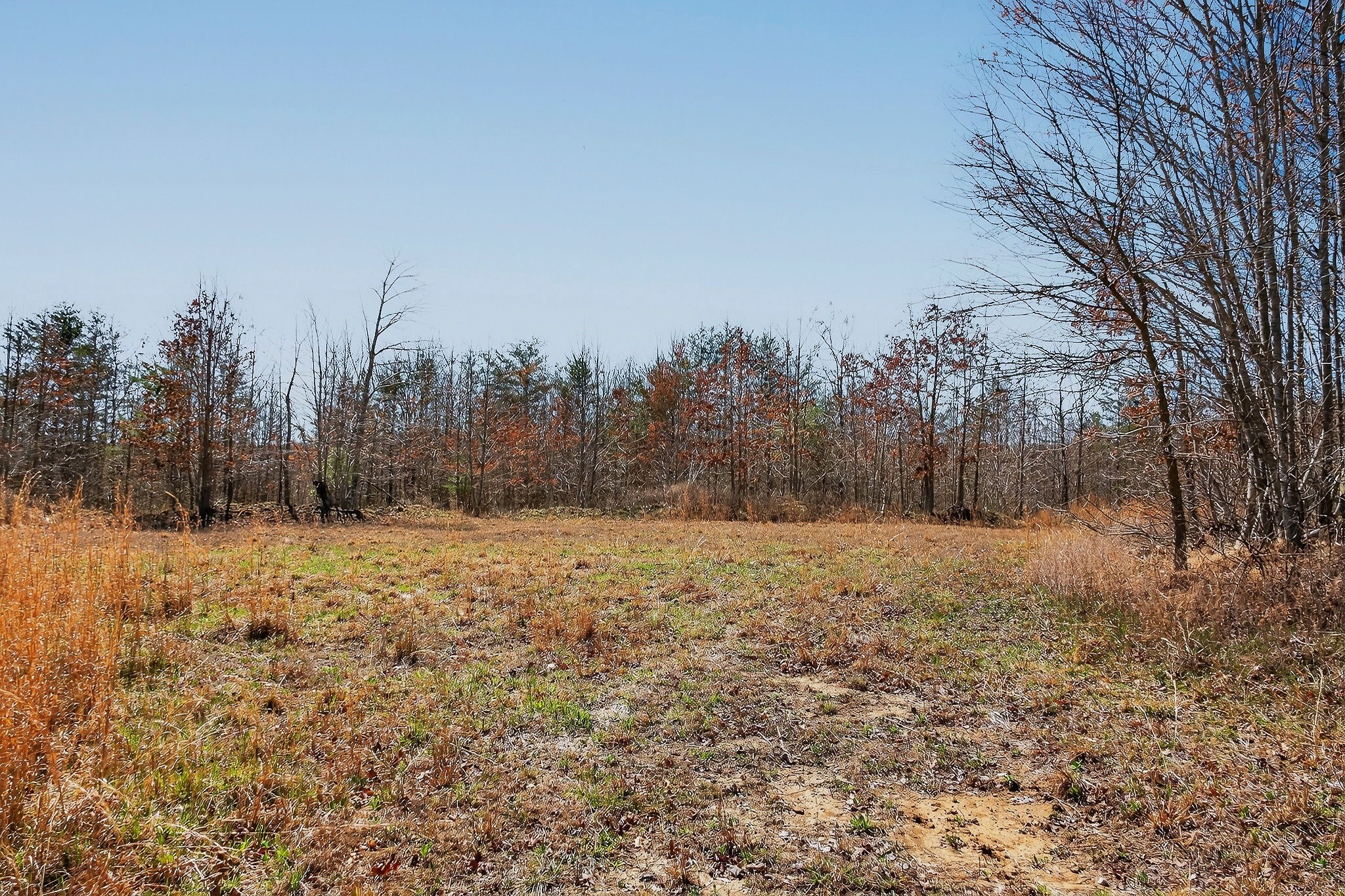 253 Daus Mountain Road Palmer TN 37365