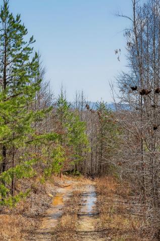 253 Daus Mountain Road Palmer TN 37365
