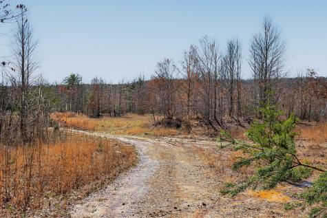 253 Daus Mountain Road Palmer TN 37365