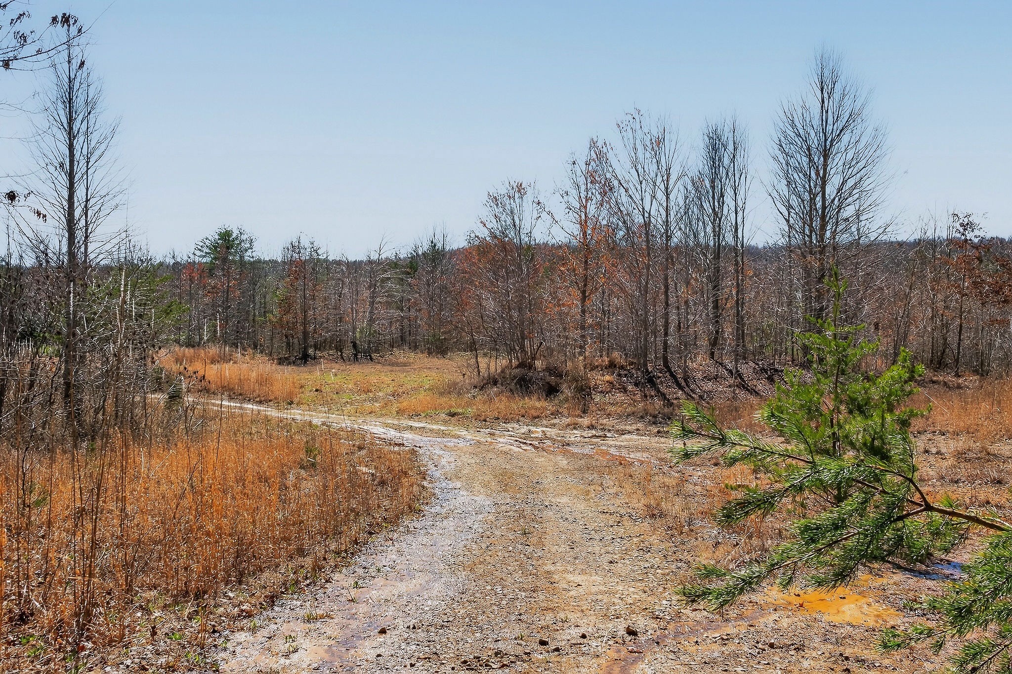 253 Daus Mountain Road Palmer TN 37365