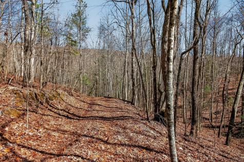 253 Daus Mountain Road Palmer TN 37365