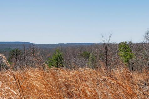 253 Daus Mountain Road Palmer TN 37365