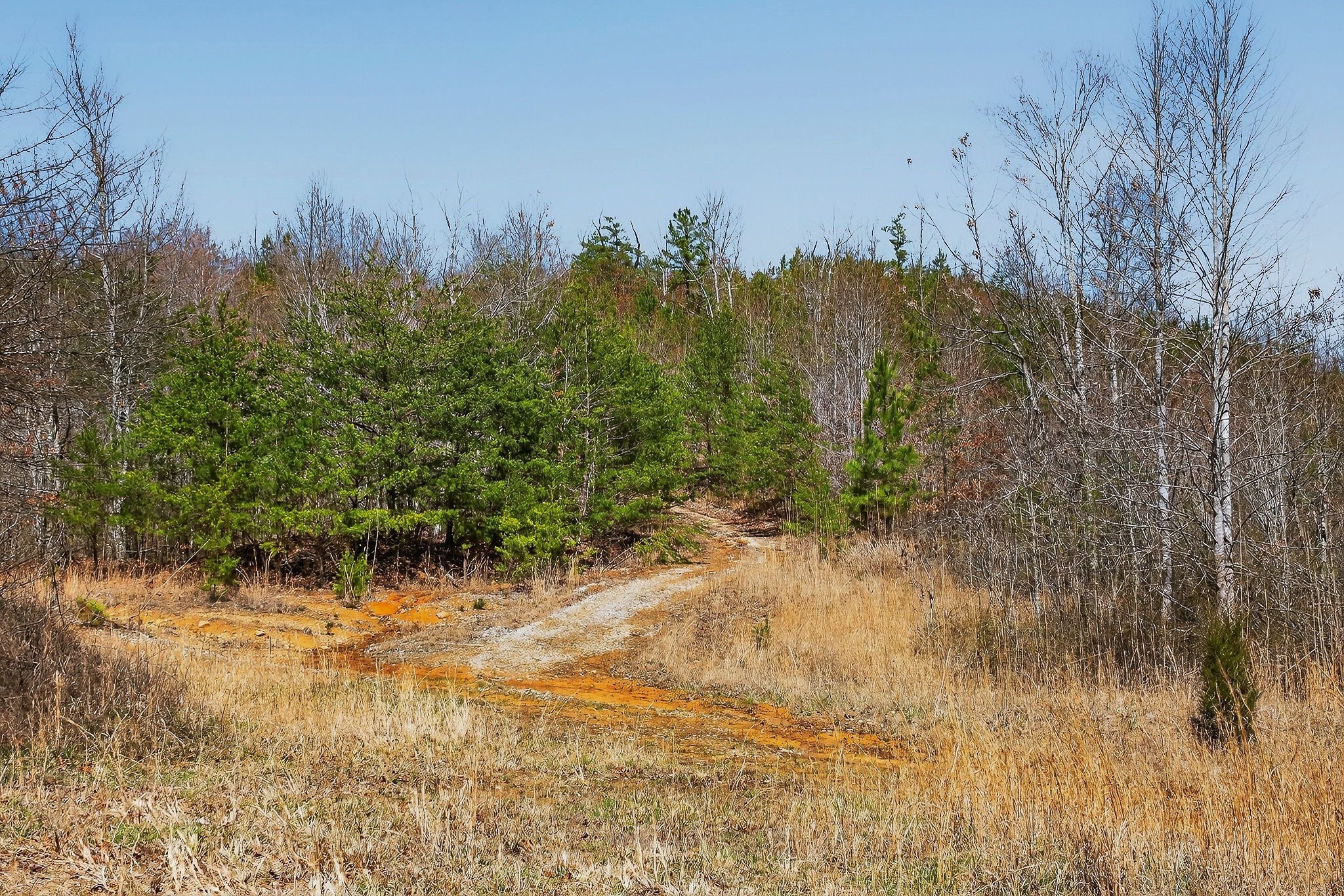 253 Daus Mountain Road Palmer TN 37365