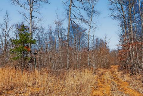 253 Daus Mountain Road Palmer TN 37365