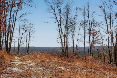 253 Daus Mountain Road Palmer TN 37365
