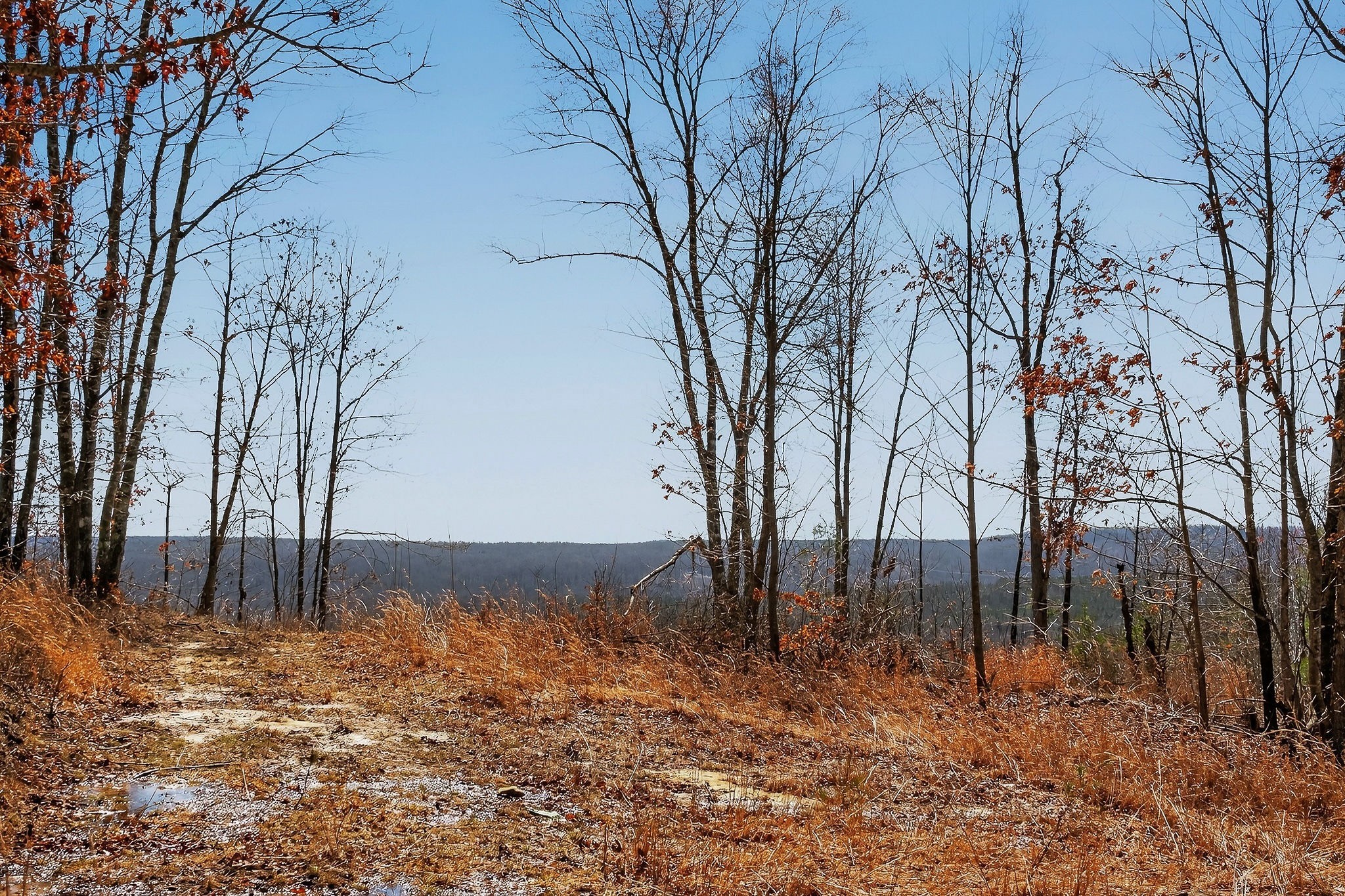 253 Daus Mountain Road Palmer TN 37365
