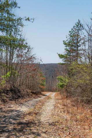 253 Daus Mountain Road Palmer TN 37365