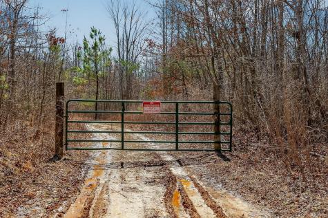 253 Daus Mountain Road Palmer TN 37365