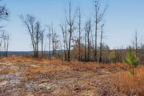 253 Daus Mountain Road Palmer TN 37365