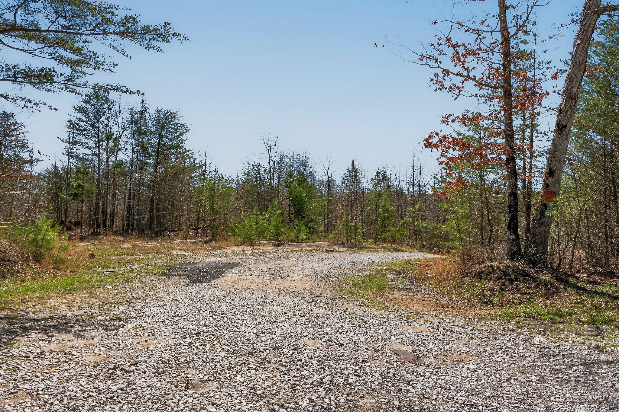 253 Daus Mountain Road Palmer TN 37365
