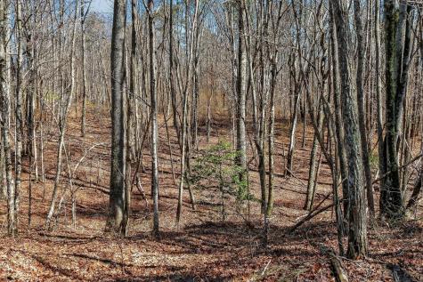 253 Daus Mountain Road Palmer TN 37365