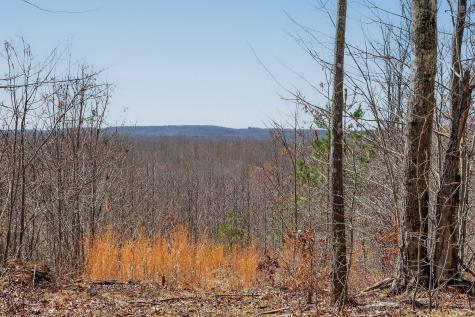 253 Daus Mountain Road Palmer TN 37365