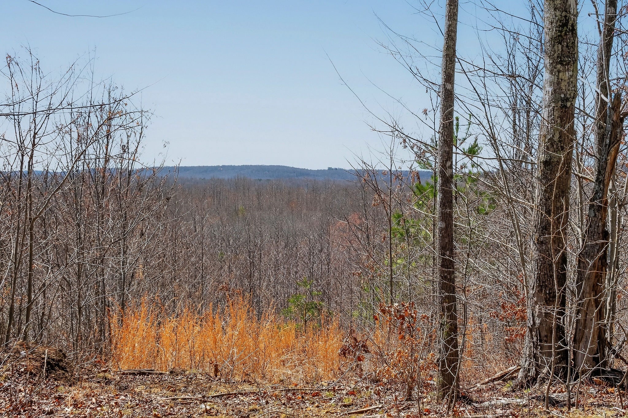 253 Daus Mountain Road Palmer TN 37365
