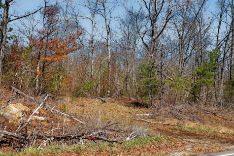 253 Daus Mountain Road Palmer TN 37365
