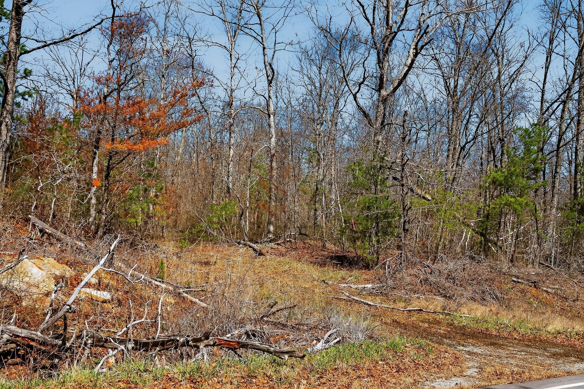 253 Daus Mountain Road Palmer TN 37365