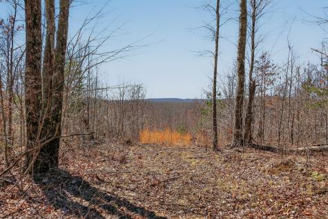 253 Daus Mountain Road Palmer TN 37365