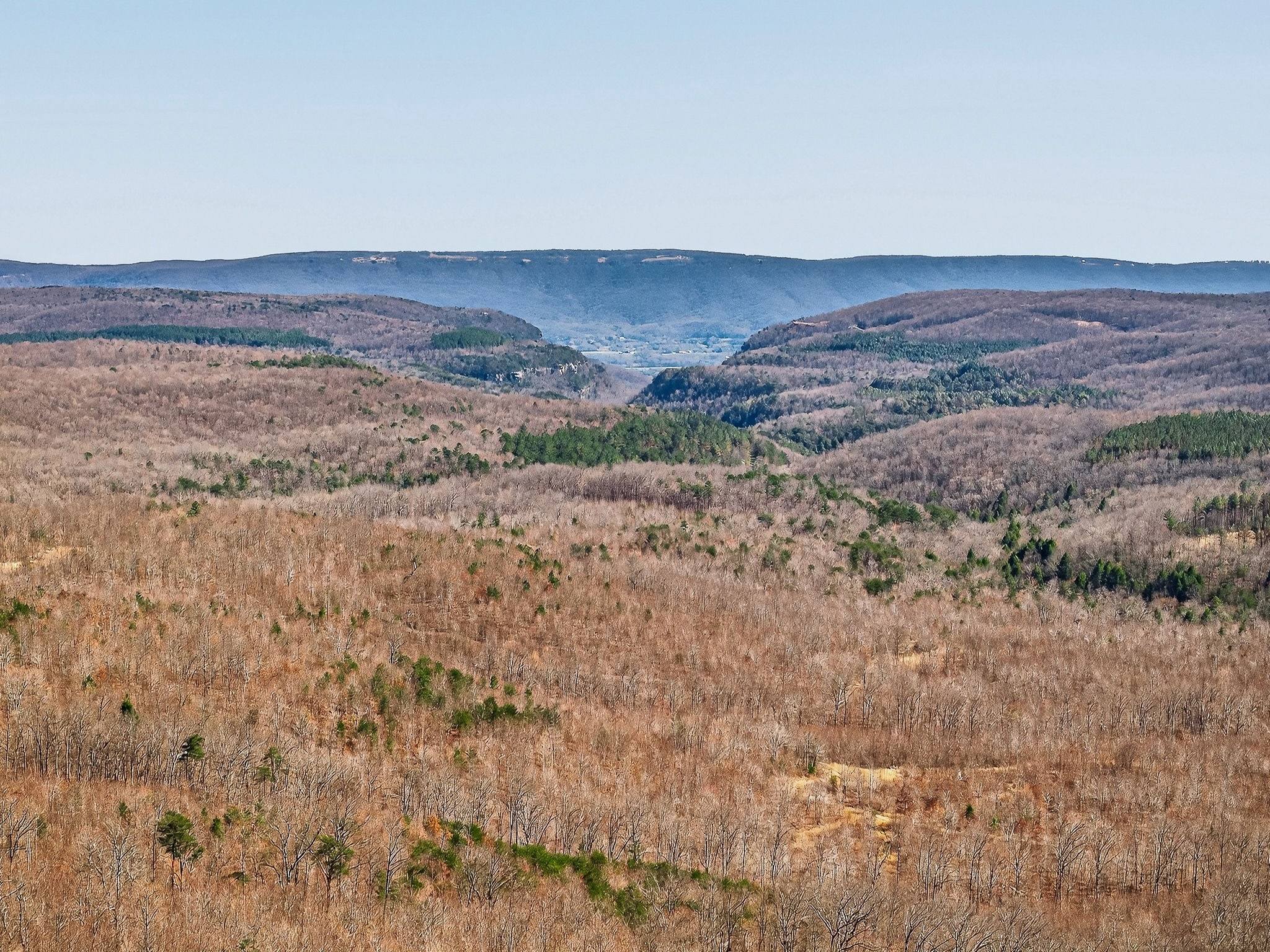 253 Daus Mountain Road Palmer TN 37365