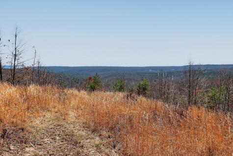 253 Daus Mountain Road Palmer TN 37365