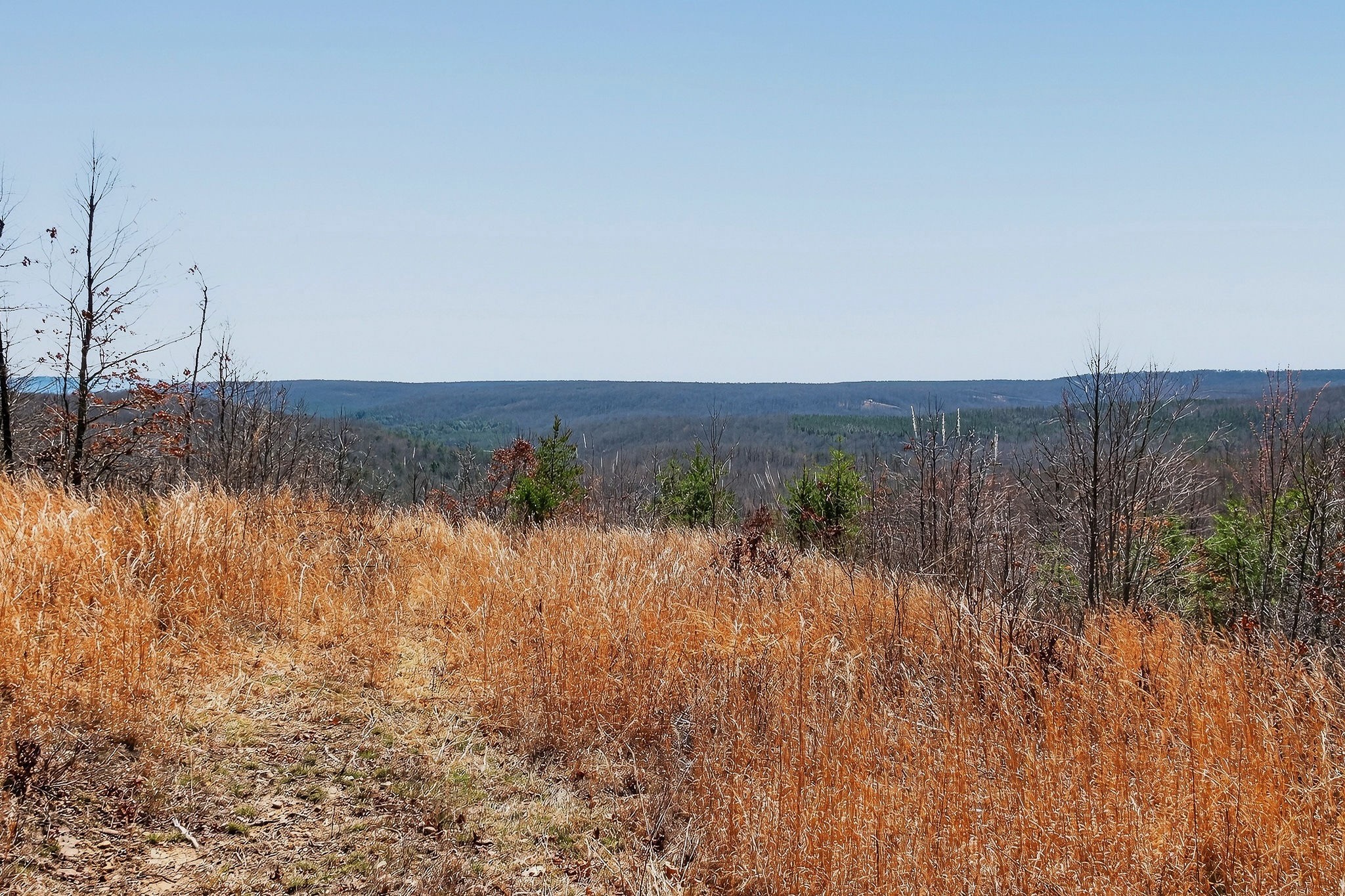 253 Daus Mountain Road Palmer TN 37365