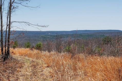 253 Daus Mountain Road Palmer TN 37365