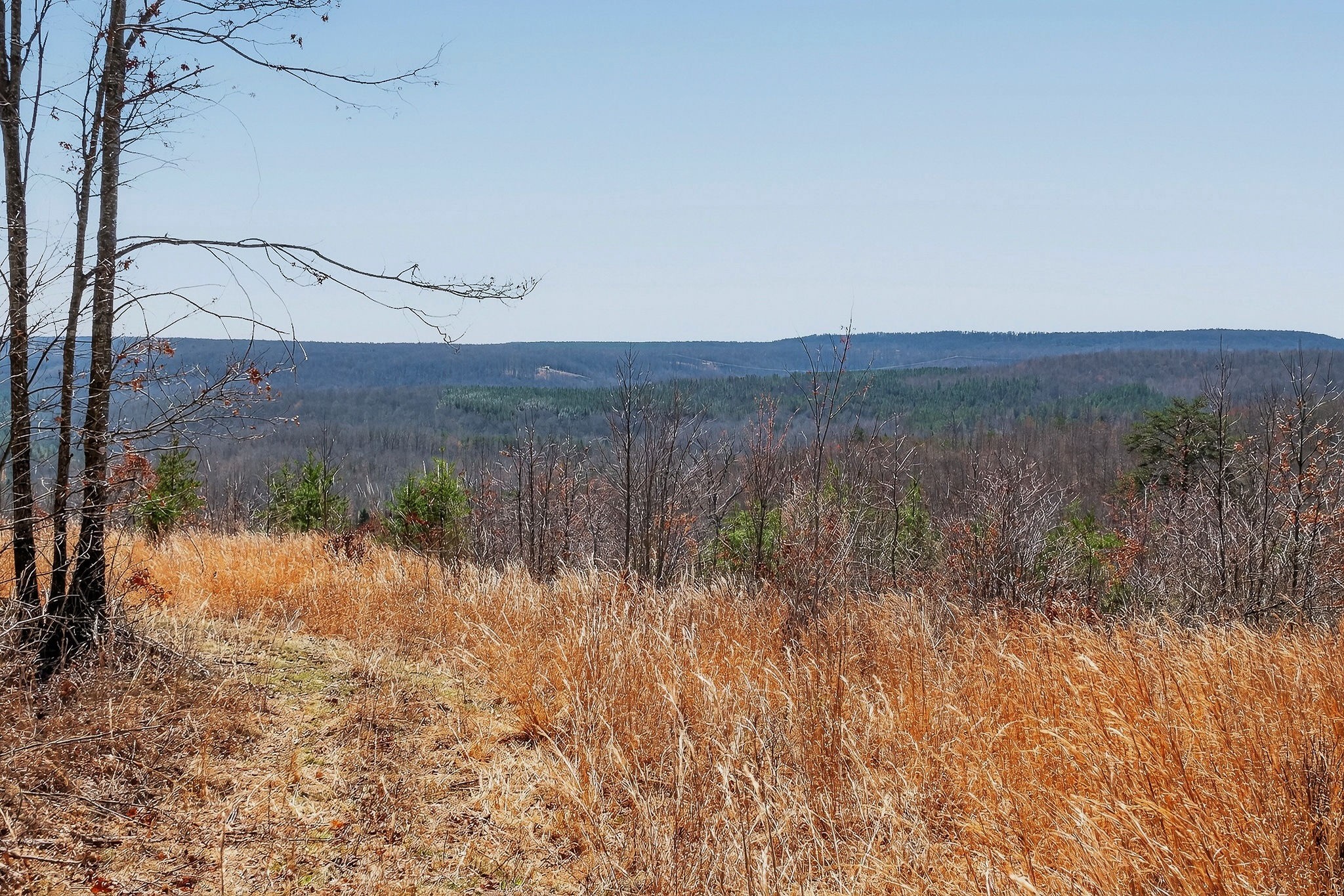 253 Daus Mountain Road Palmer TN 37365