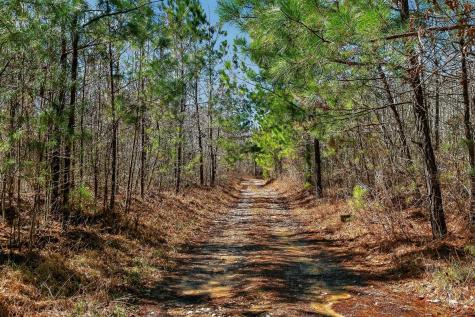 253 Daus Mountain Road Palmer TN 37365