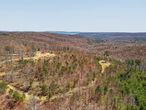 253 Daus Mountain Road Palmer TN 37365