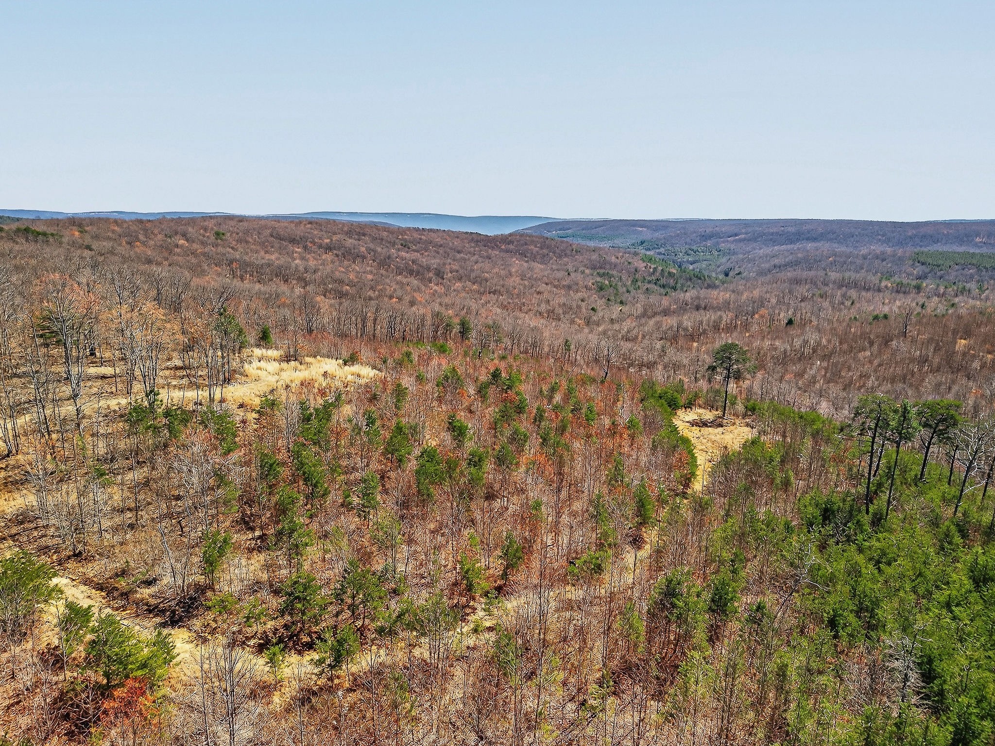 253 Daus Mountain Road Palmer TN 37365