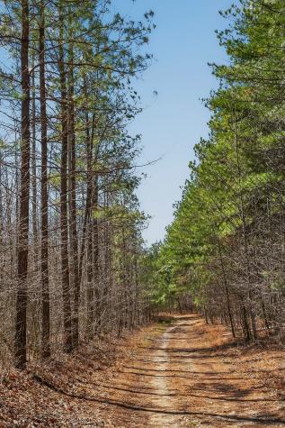 253 Daus Mountain Road Palmer TN 37365