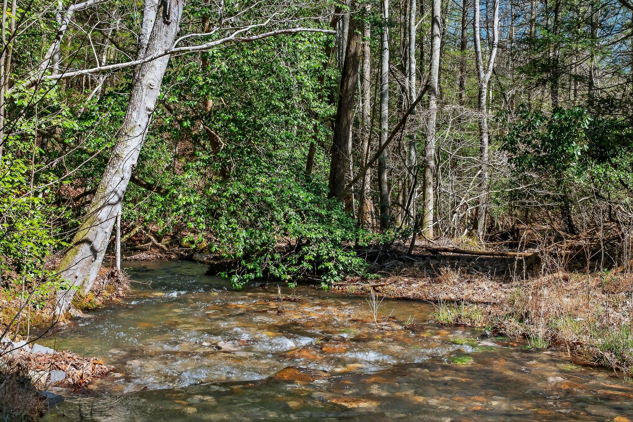 253 Daus Mountain Road Palmer TN 37365