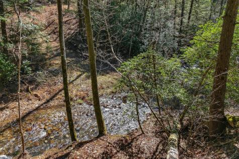 253 Daus Mountain Road Palmer TN 37365